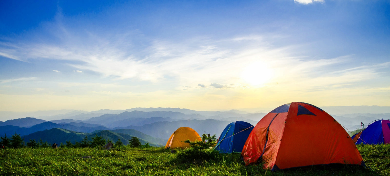 Tents on Grass